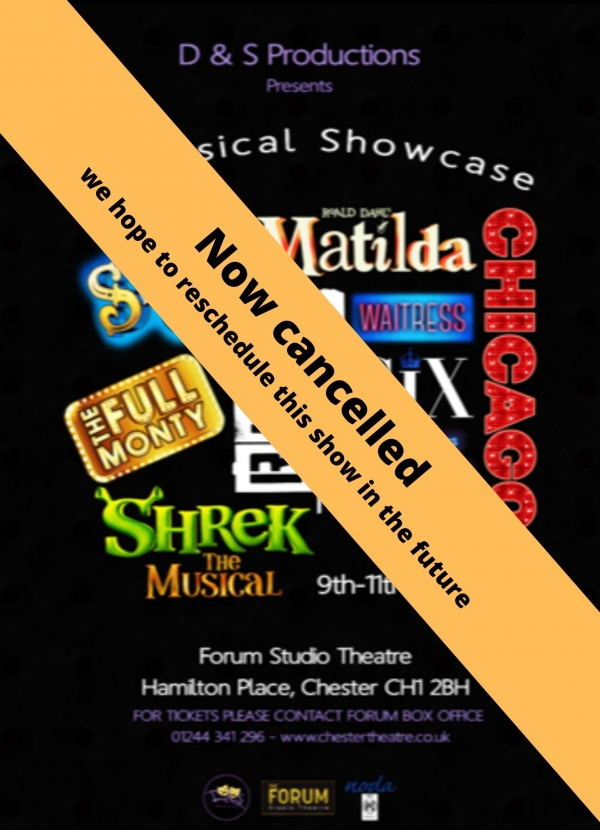 A Musical Showcase