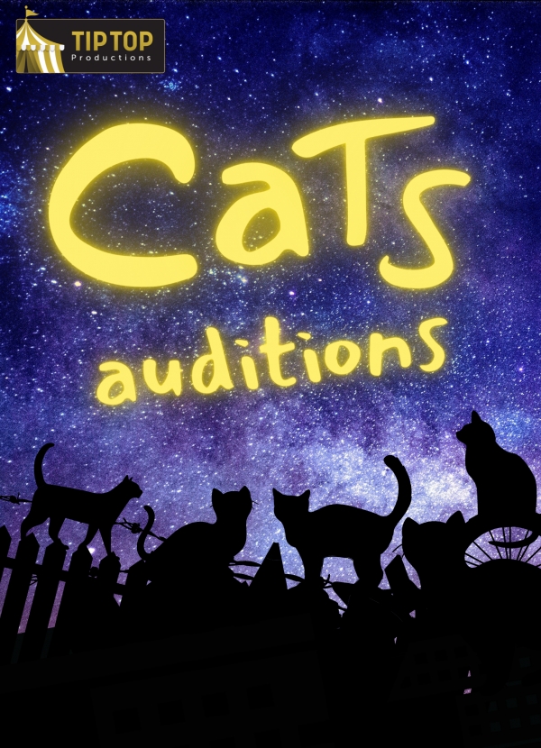 Cats Auditions