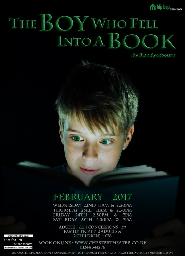 The Boy Who Fell Into A Book